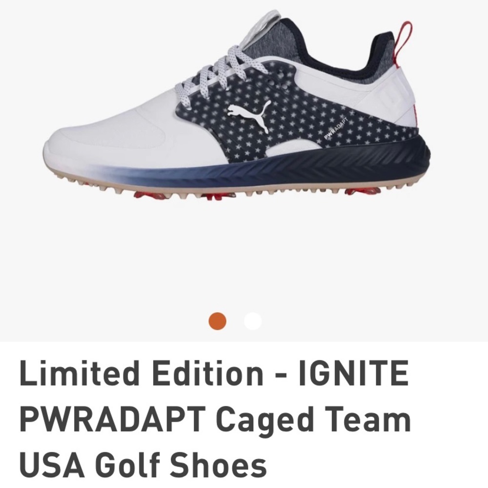 Mens 8.5 Puma Golf shoes. Only have been wore twice!